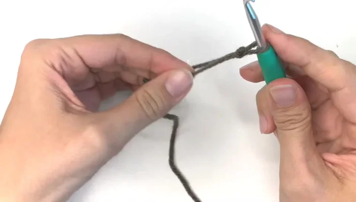 Make the stem: Chain 6 using brown yarn, hdc in each stitch. Fasten off, leaving a long tail.