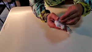 DIY Cat Butt Tie-Dye Tutorial: A Step-by-Step Guide