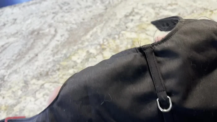 Witness Reaction: A teller's strong emotional reaction to the music clue points to a connection between the music and the robberies.