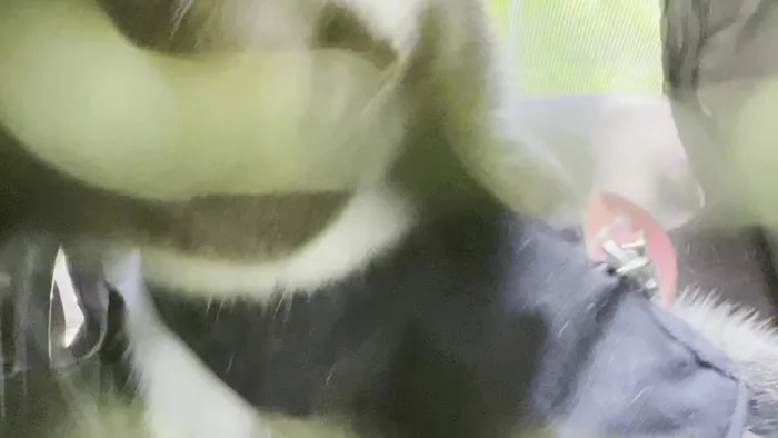 Composer Interview: The composer's condition hinders questioning, but playing the music triggers a response.