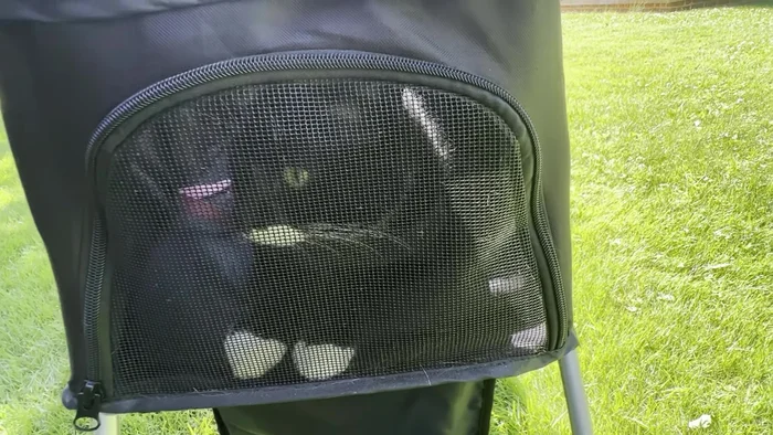 Engineer Lead: The producer points the agents to the recording engineer, a cab driver.