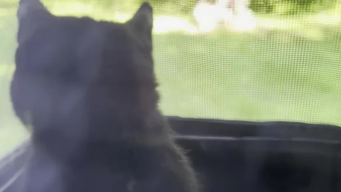 Engineer Lead: The producer points the agents to the recording engineer, a cab driver.