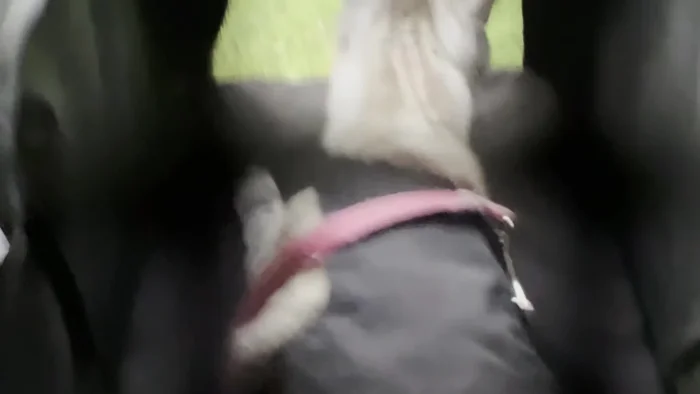 Further Investigation: Agents trace a cell phone to the composer's caregiver, revealing the true motive.