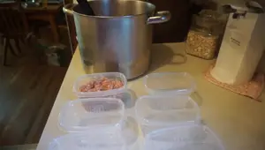 DIY Cat Food Recipe: Save Money & Improve Your Cat's Health!