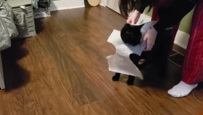 Refine the pattern into two pieces for a better fit.