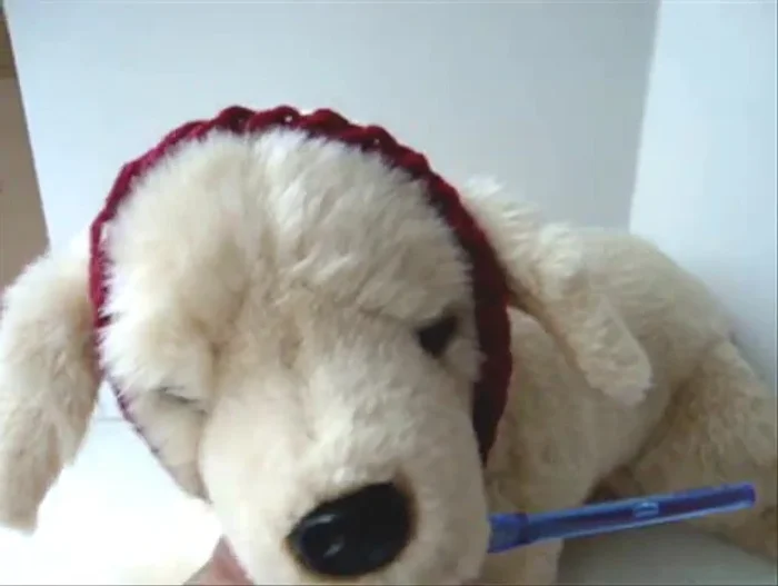 Make a foundation chain long enough to wrap around your dog's head and meet under the chin.