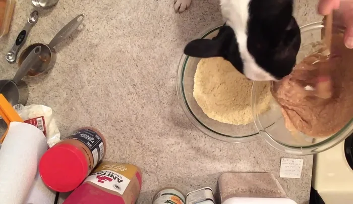 Pour wet ingredients into the bowl with dry ingredients. Stir until well combined.