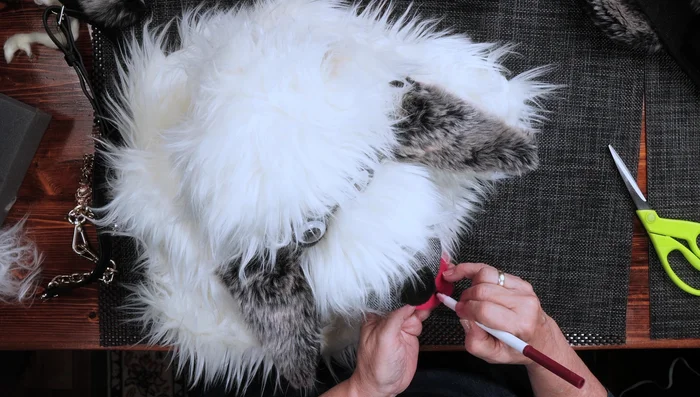 Use a marker to add details, such as a line on the tongue.