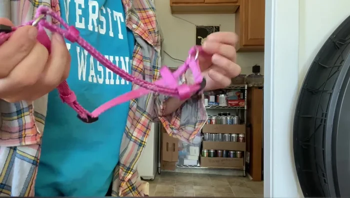 Make wearing the harness a positive experience with lots of pets, affection, and playtime.