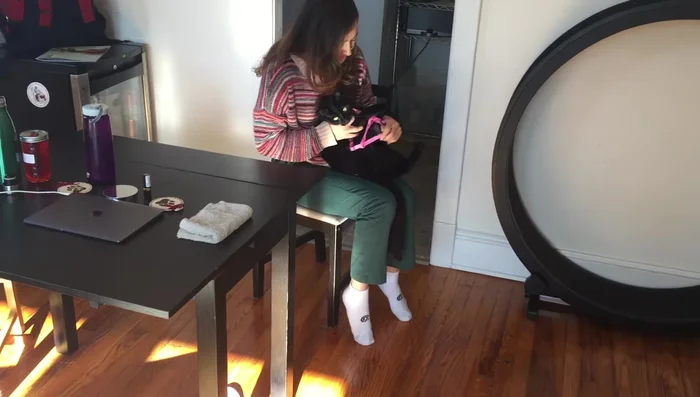 Make wearing the harness a positive experience with lots of pets, affection, and playtime.