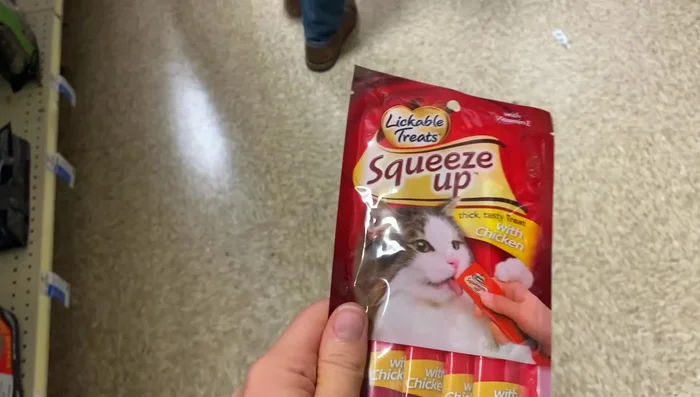 Make the carrier a positive space by feeding your cat inside it.