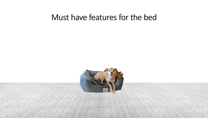 Plan and Design the Dog Bed