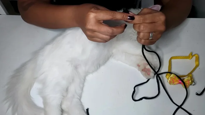 Pull the loop through itself to form a knot, tightening it securely.