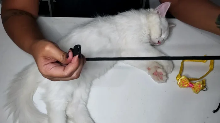 Measure the desired collar length, leaving extra allowance for the cobra knot (approximately half an inch on each side).