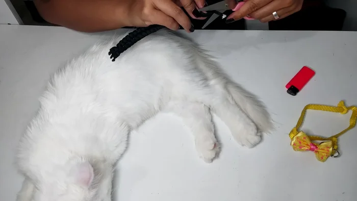 Use a lighter to melt and seal the ends of the braid to prevent fraying.