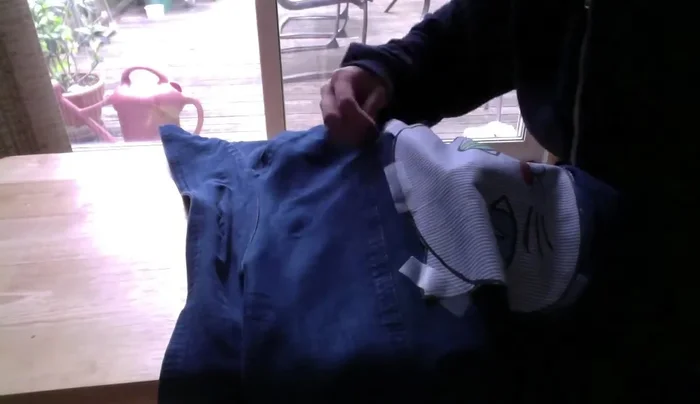 Sew the cat fabric onto the jacket. Double stitch for added security, especially with thinner fabrics.