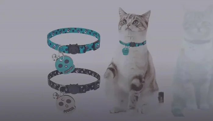 Review Collar #4: Pup Tech Breakaway Cat Collar – features two collars (black and green) with skull pattern, suitable size for most cats, comfortable fit, and bells.