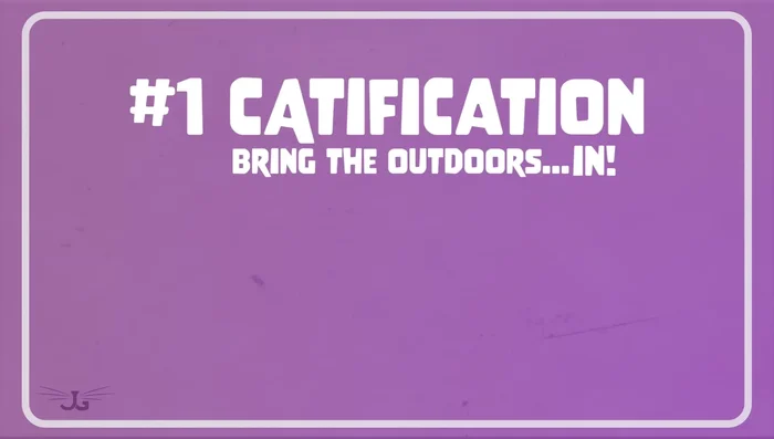 Offer Diverse Scratching Surfaces: Cats need to scratch for physical and behavioral reasons; provide various options to cater to preferences.